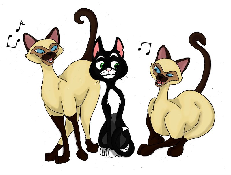 Siamese Cat Drawings - ClipArt Best