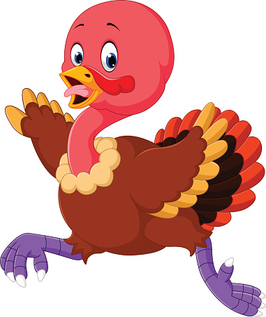 Scared Turkey Clip Art, Vector Images & Illustrations