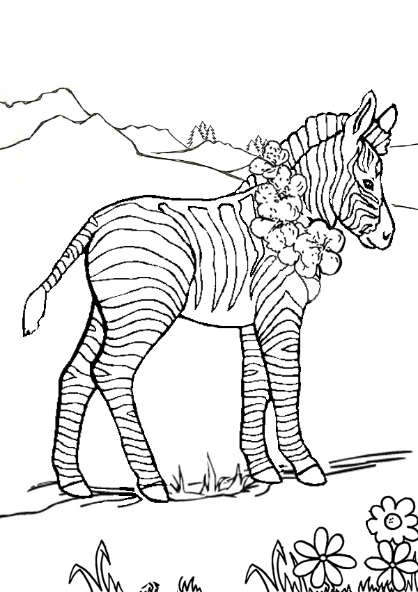 Kids Activity Sheets:Colouring Pages