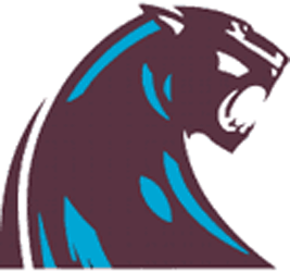 Michigan Panthers Alternate Logo - United States Football League ...