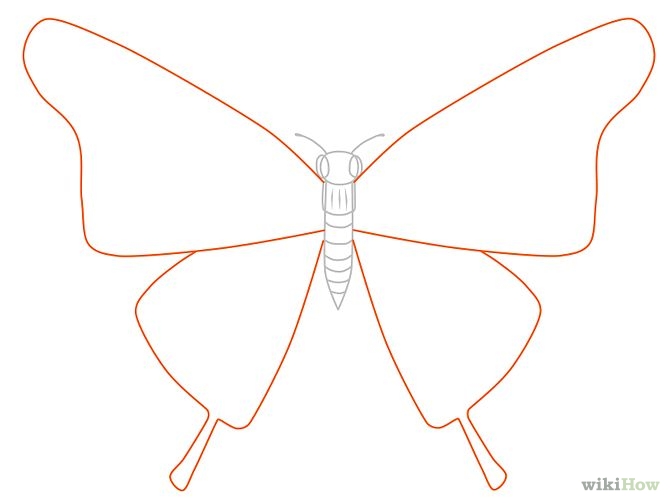 2,760 views How to Draw a Butterfly: 14 Steps (with Pictures) - wikiHow