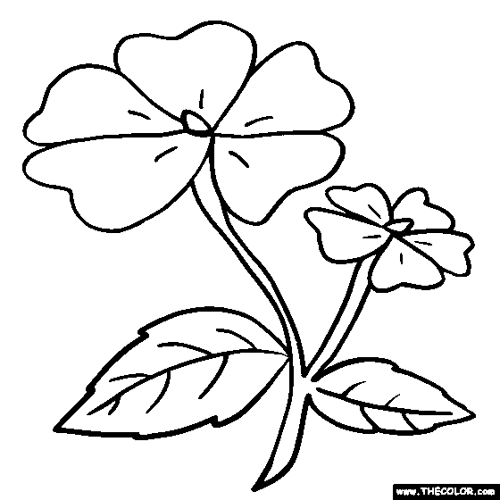 Flower Coloring Pages | Color Flowers Online | Page 1