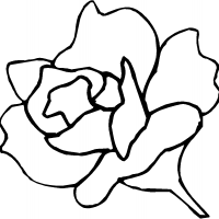 Rose Template Printable - ClipArt Best
