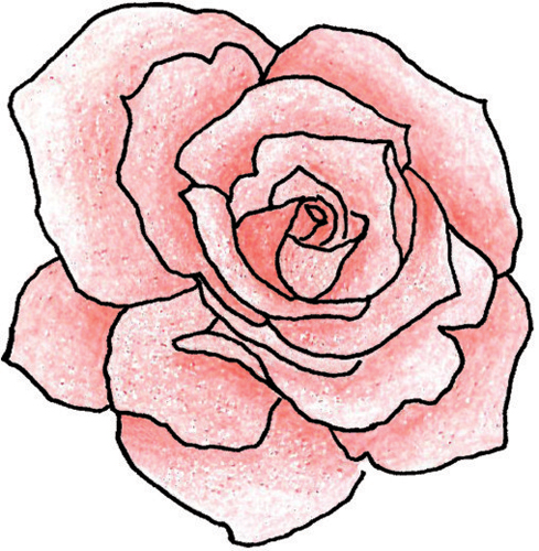 clipart tudor rose - photo #37