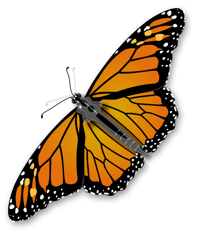 Free to Use & Public Domain Insects Clip Art - Page 3