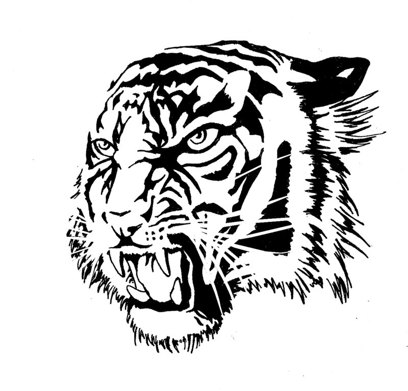 tiger tattoo clip art - photo #29