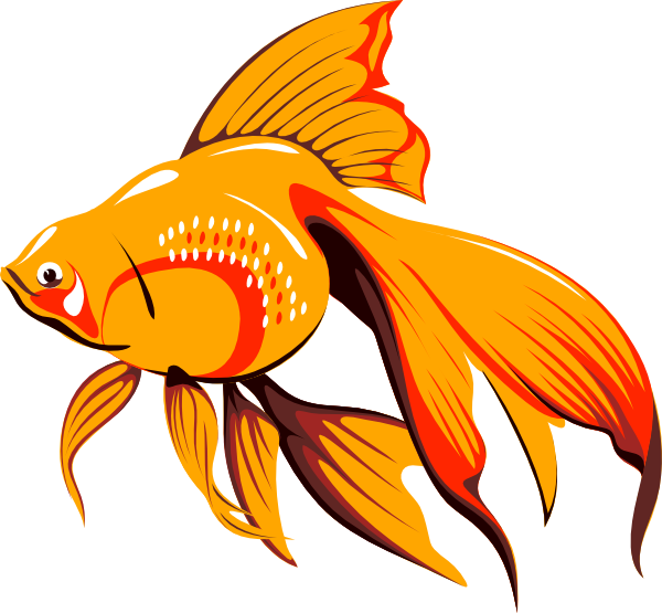 Golden Fish clip art Free Vector