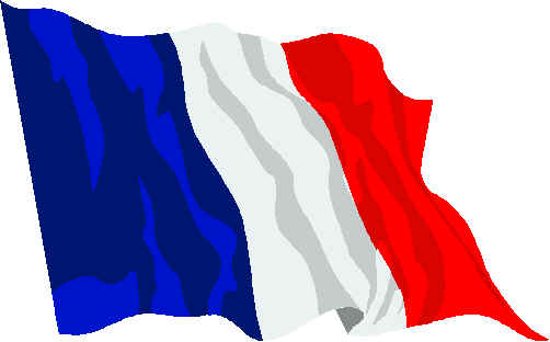 Flag French