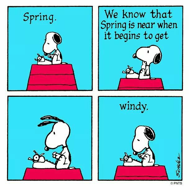 1000+ images about Snoopy