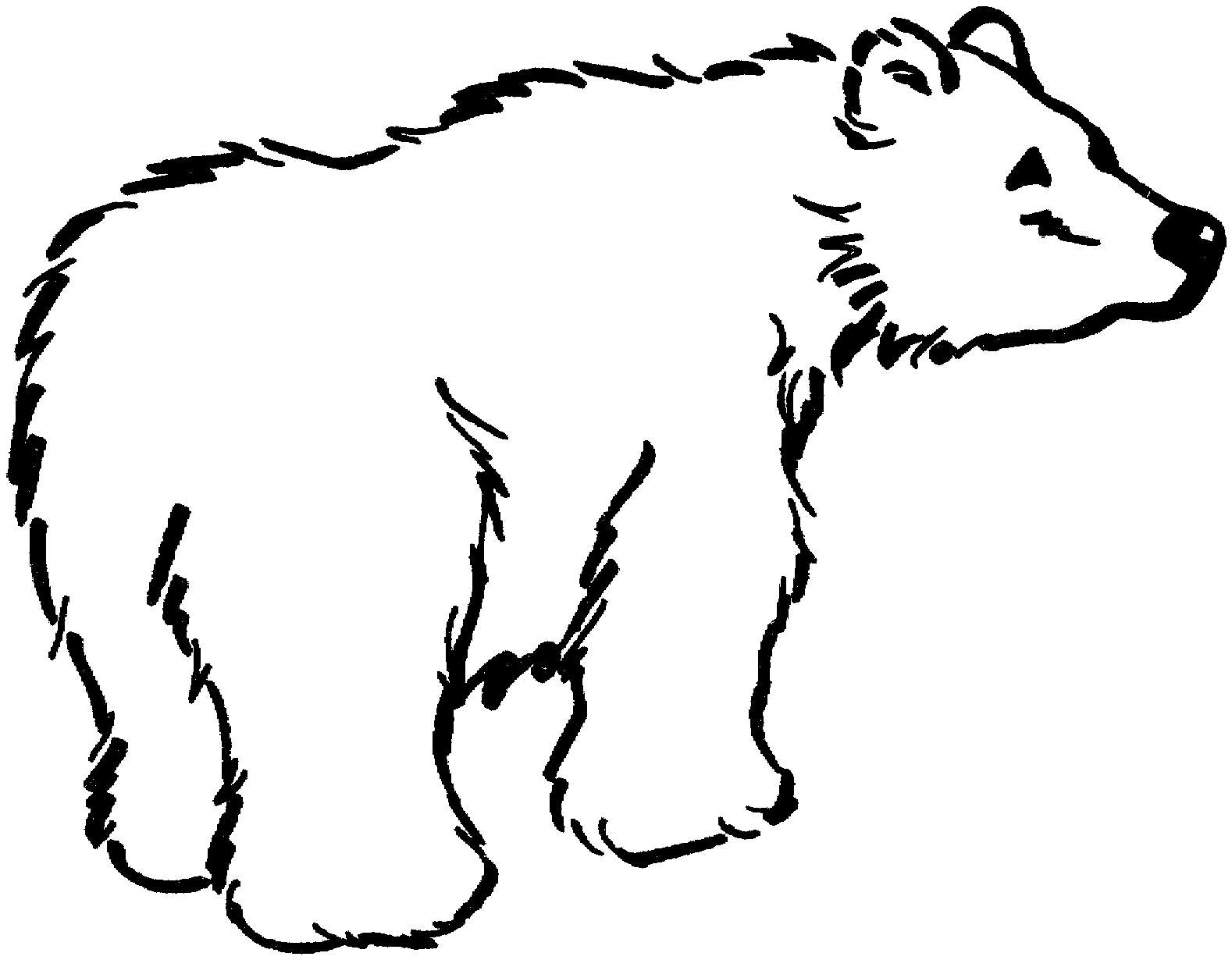 Black Bear Outline - AZ Coloring Pages