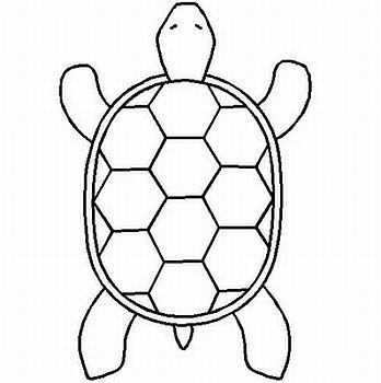 1000+ images about Turtles | Sewing patterns, Turtle ...
