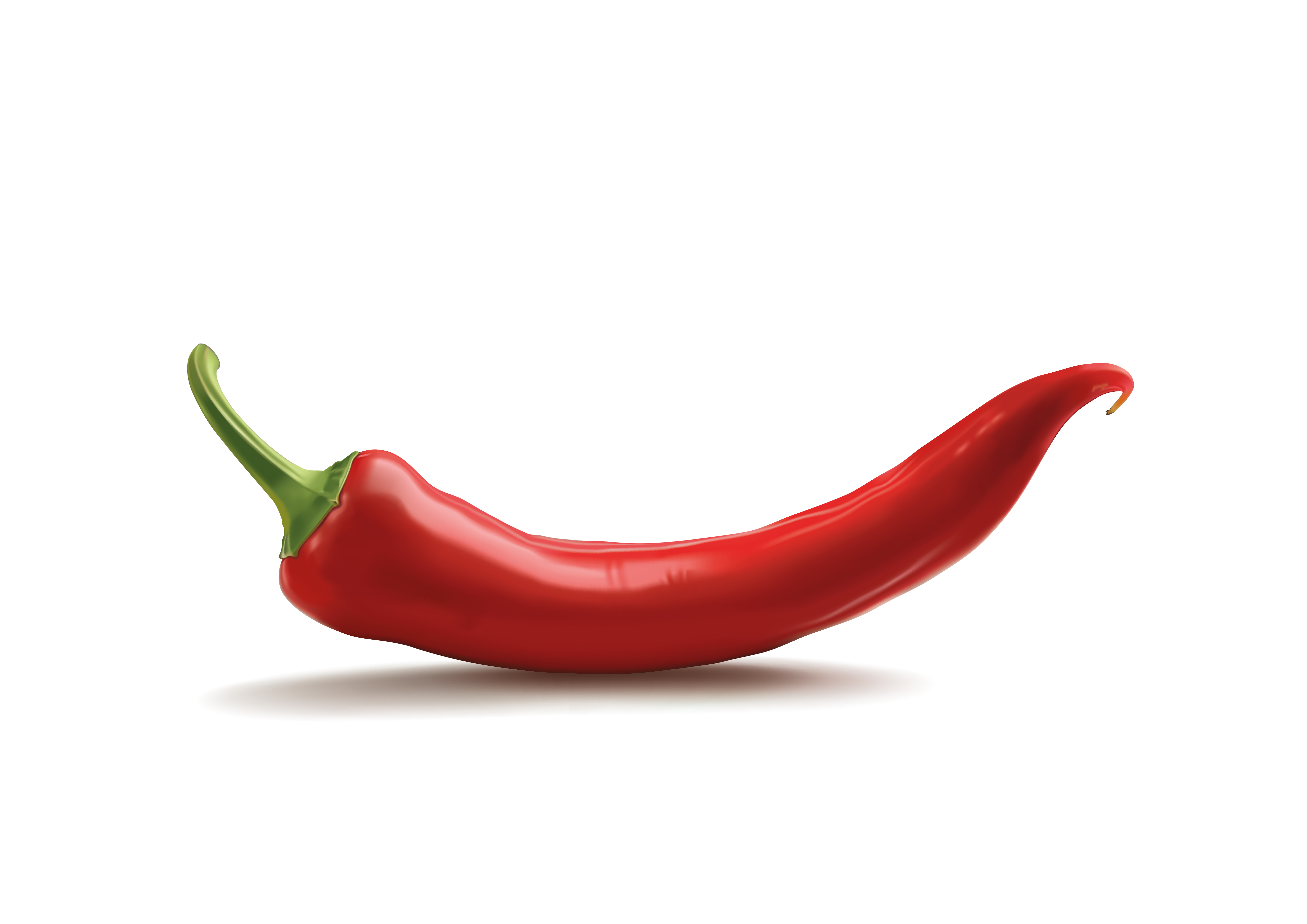 Chili Pepper | Free Download Clip Art | Free Clip Art | on Clipart ...