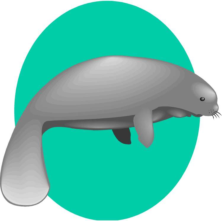 Manatee Clip Art