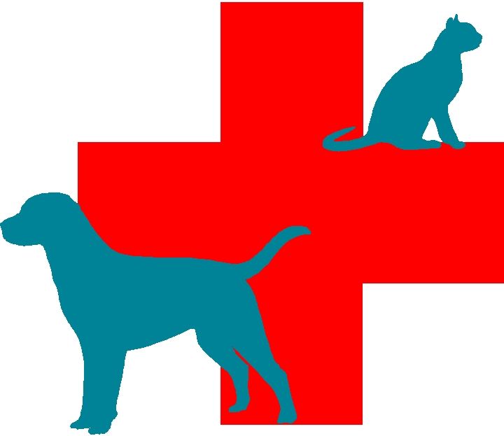 1000+ images about Vet Symbols