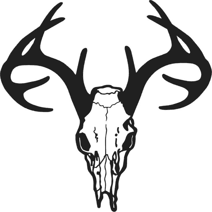 Deer Skull Stencil | Free Download Clip Art | Free Clip Art | on ...