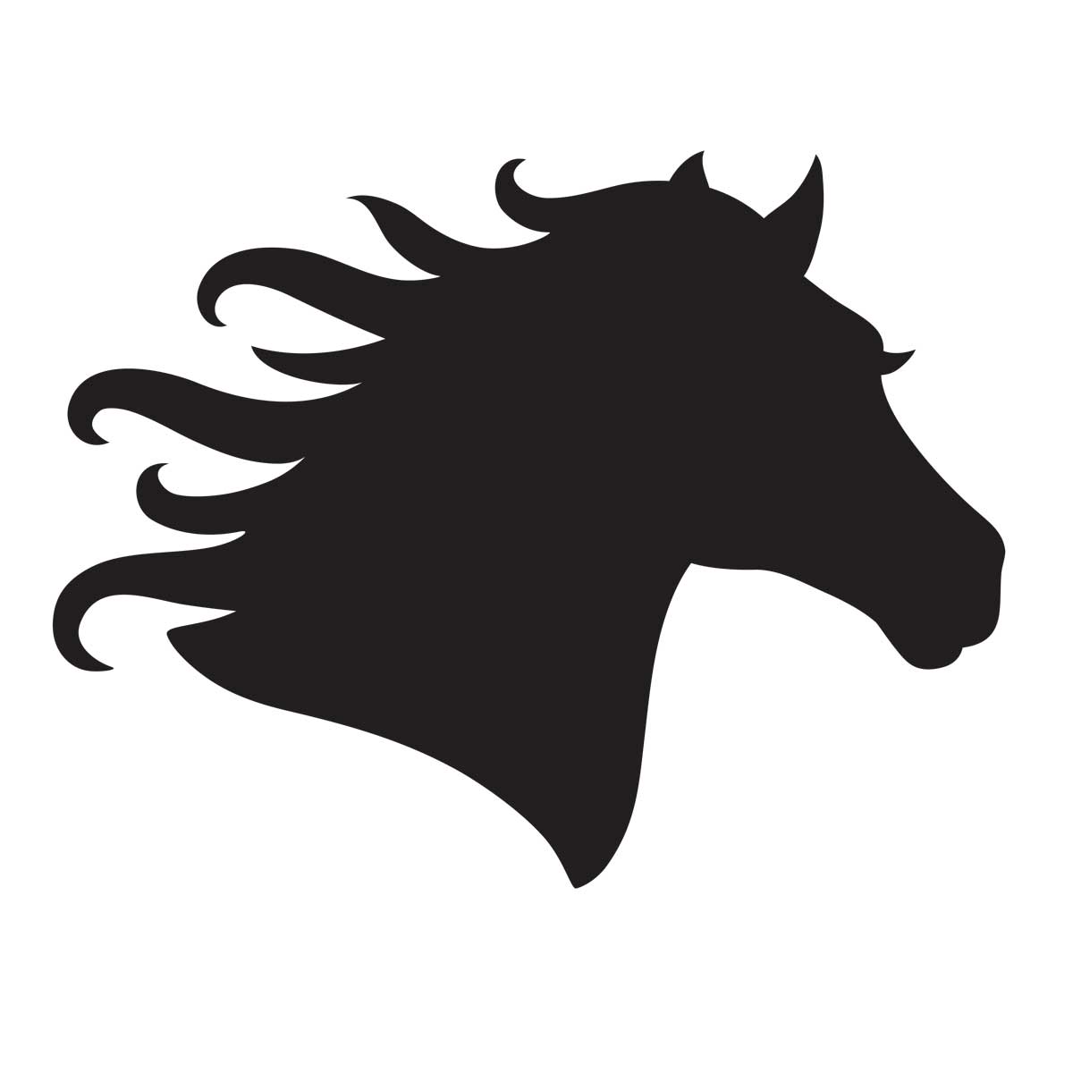 Horse Head Stencil for Glitter Tattoos for Horses