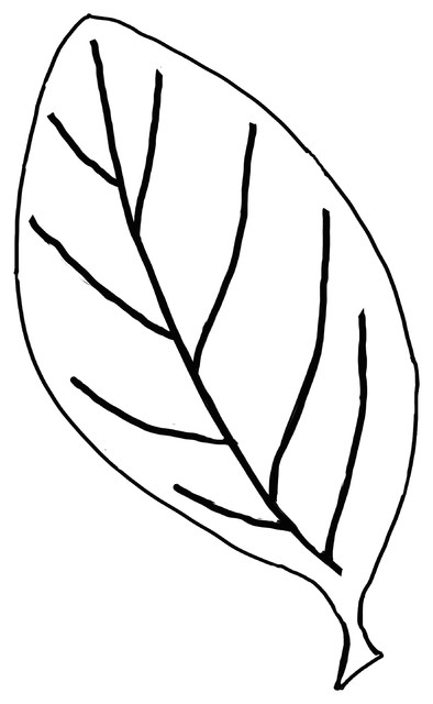 leaf clip art free black and white - photo #32