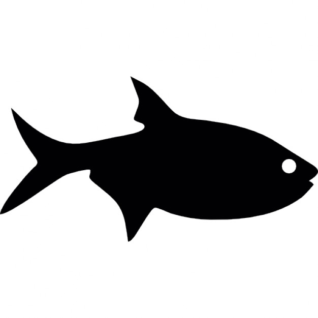 fish silhouette clip art - photo #21