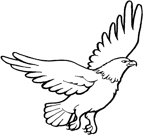 soaring eagle clipart black and white - photo #32