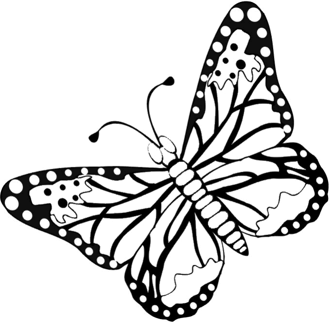 FREE Butterfly Coloring Pages: Flying Butterfly