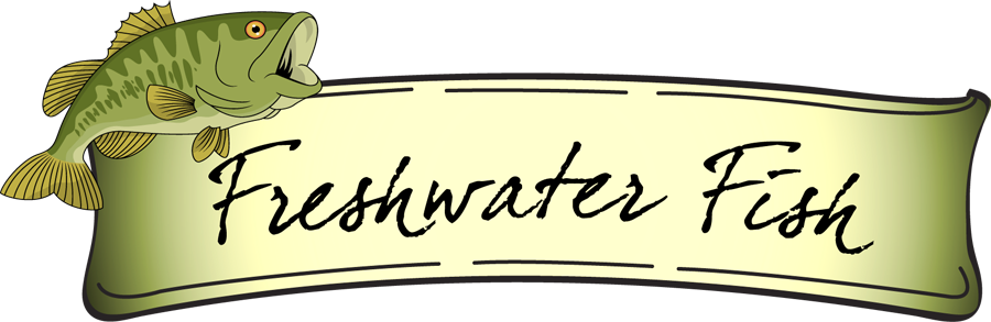 863 views Freshwater Fish