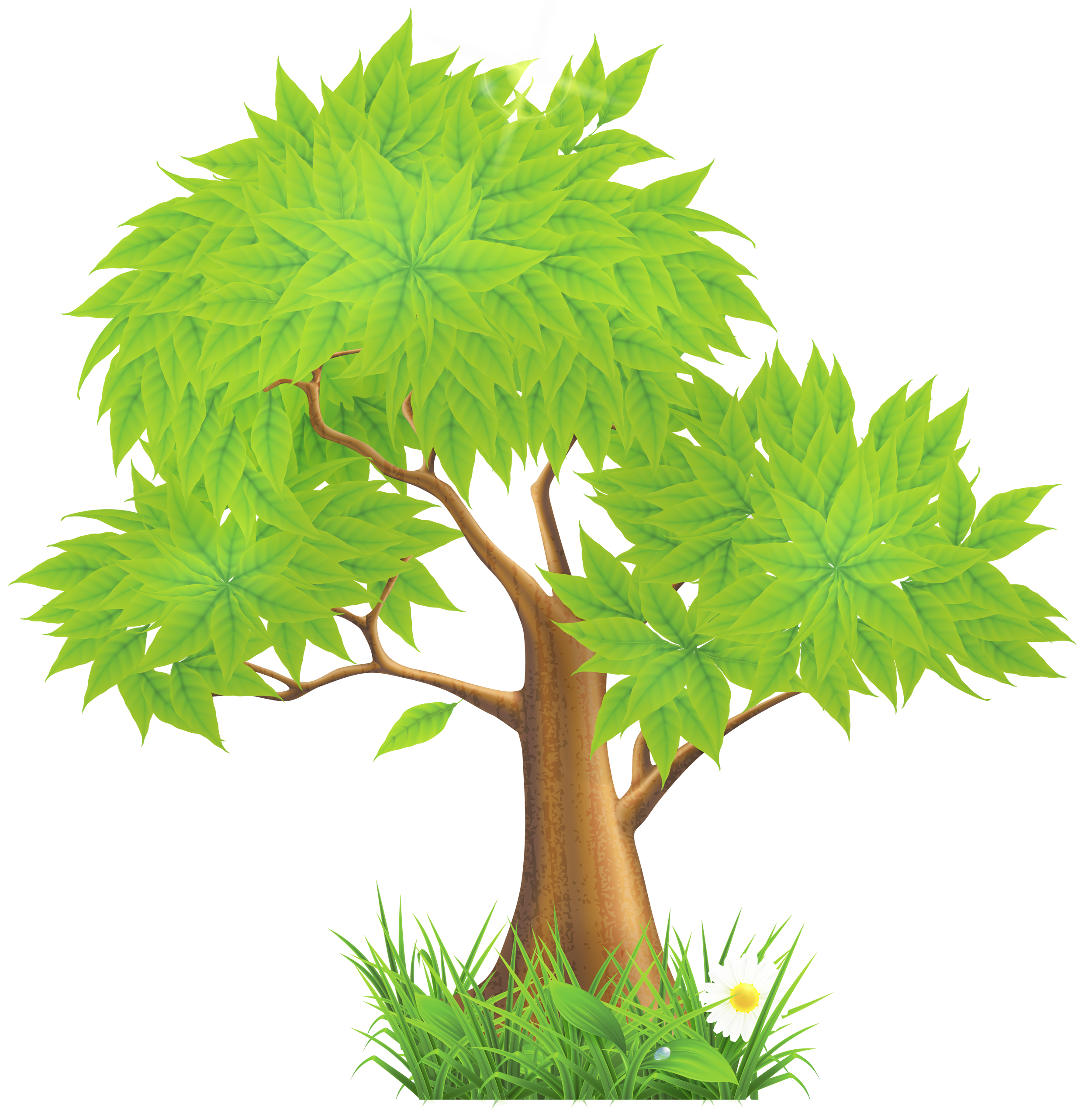 Pine Tree Clipart Png - Free Clipart Images