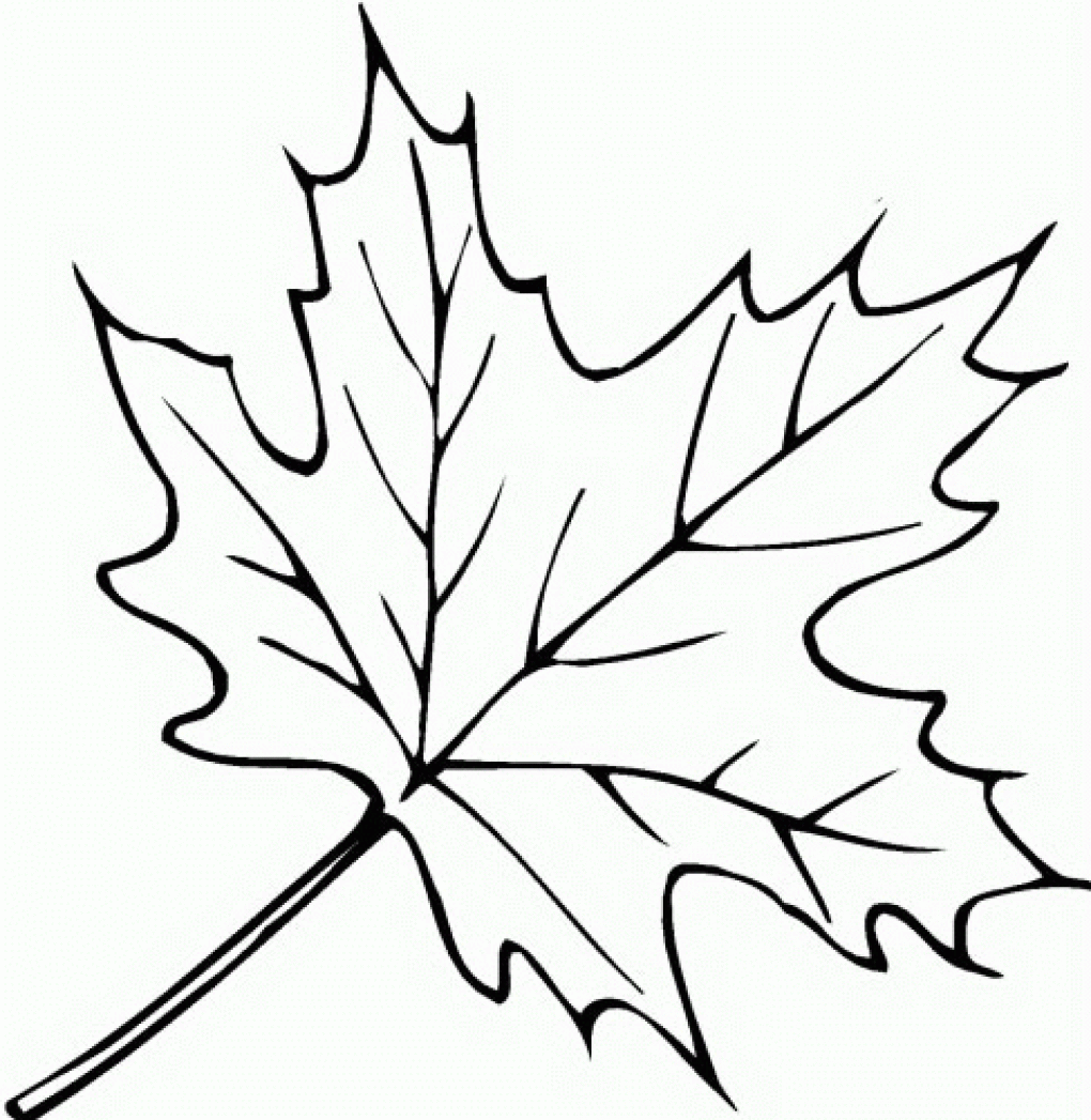 clip art leaves to color - photo #13