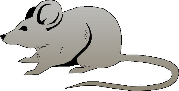 Clipart Mouse - Tumundografico