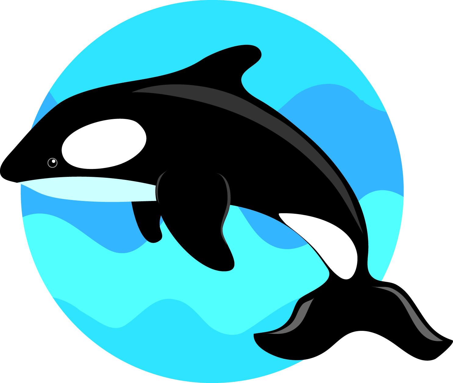 Whale Clipart - 67 cliparts