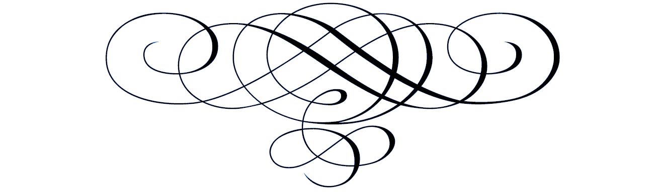 919 views Line Dividers