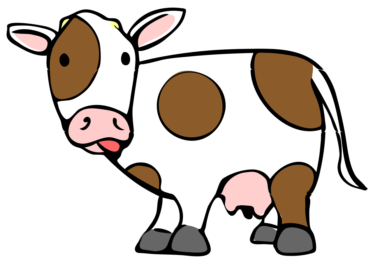 1000+ images about Cow