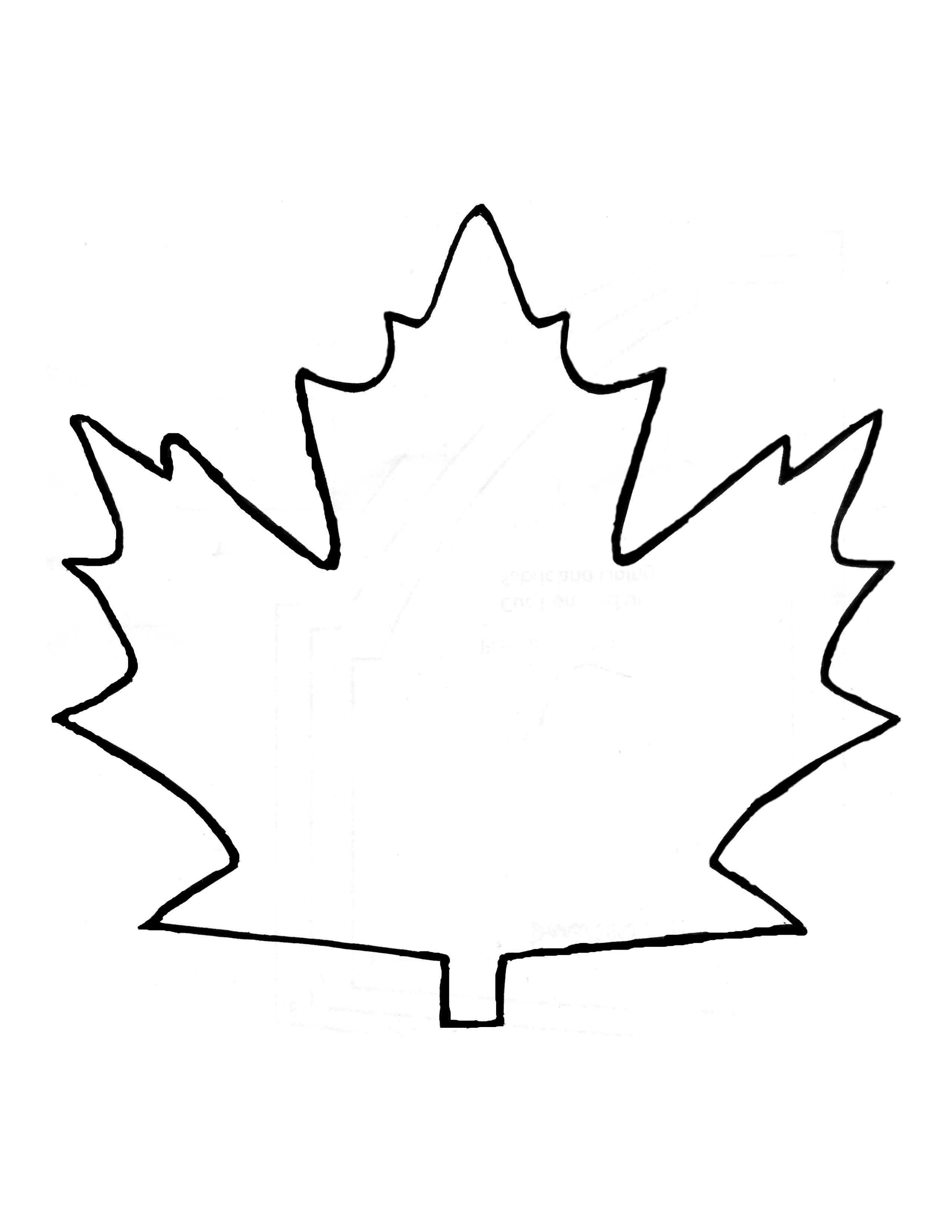 Maple Leaf Template Printable Free Printable Templates