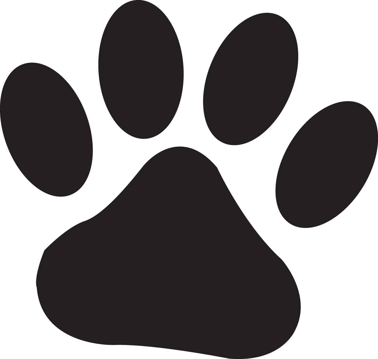 Dog Paw Pictures