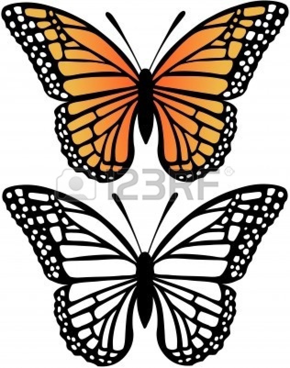 free black and white clipart of butterflies - photo #35