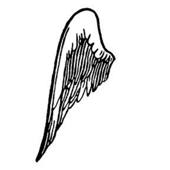 Pictures angel wings cartoon left clip art image #23928