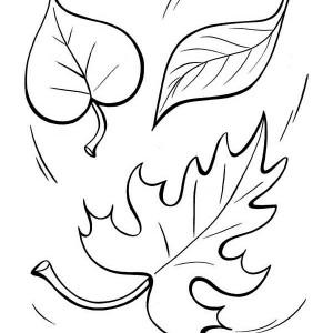 Tree Without Leaves Coloring Page - Coloring Pages