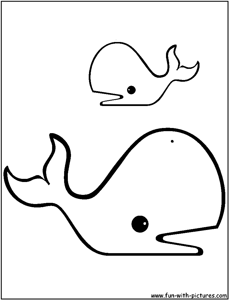 Sperm Whale Clipart Black And White