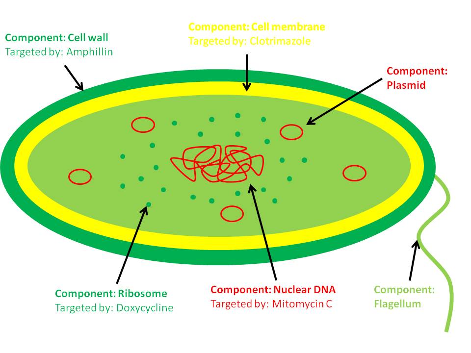 519 views Post 1.2 – A very important issue – antibiotic resistance ...