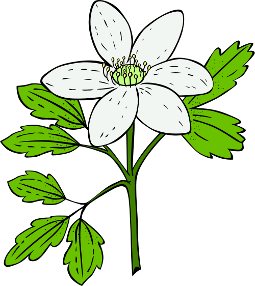 free flower clipart for mac - photo #17