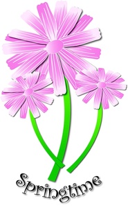 pink_spring_daisies_with_ ...