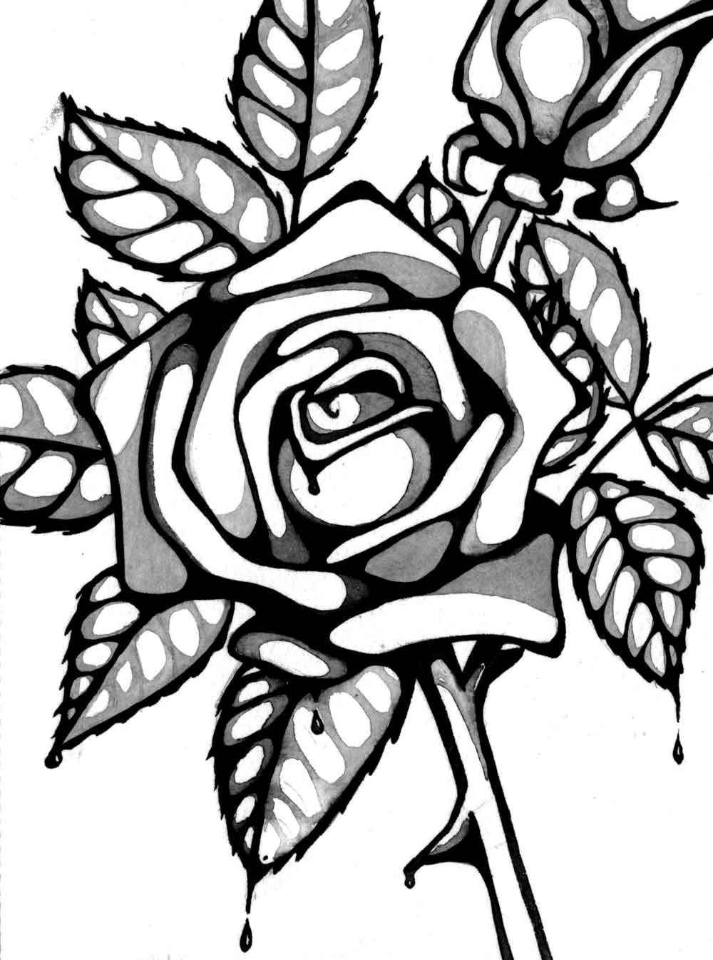 Line Drawing Of A Rose | Free Download Clip Art | Free Clip Art ...