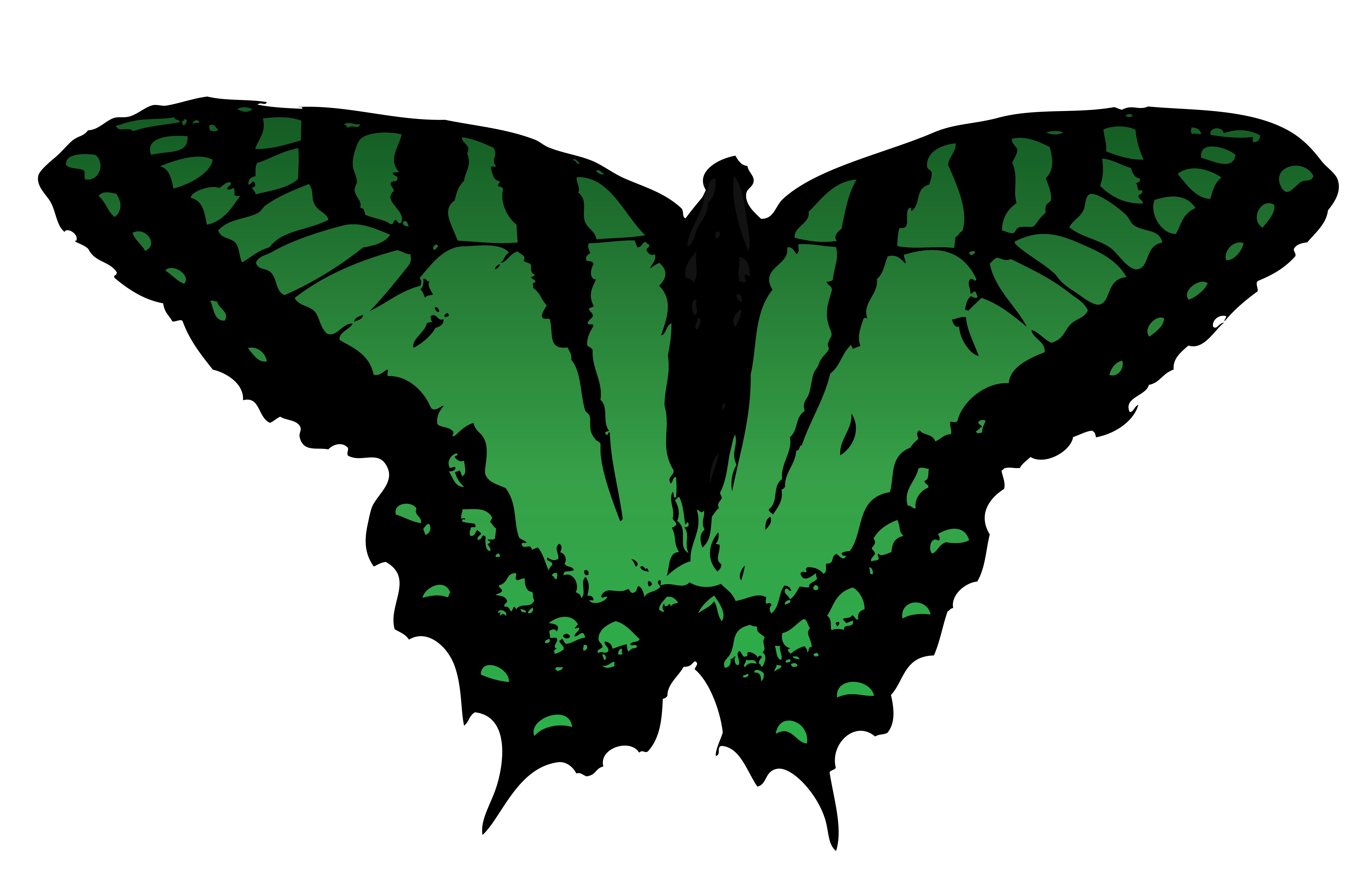 Butterfly Vector Png Clipart - Free to use Clip Art Resource