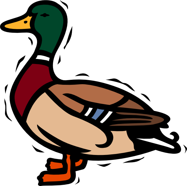 Free duck clipart images