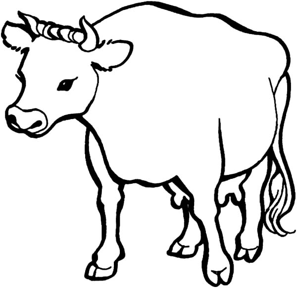mother cow clipart - photo #30