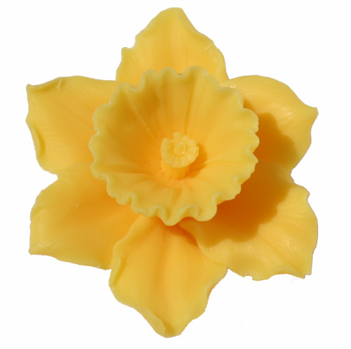 yellow daffodil clip art - photo #32