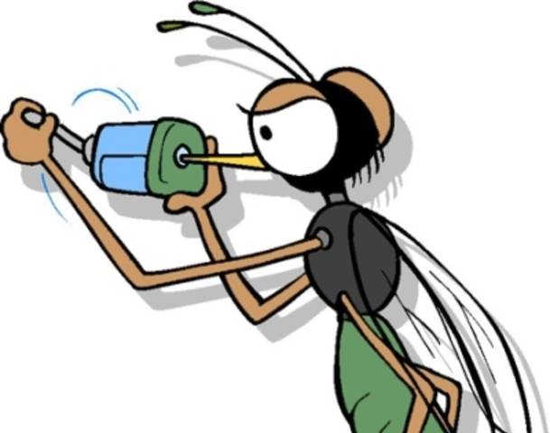 clipart mosquito cartoon - photo #46