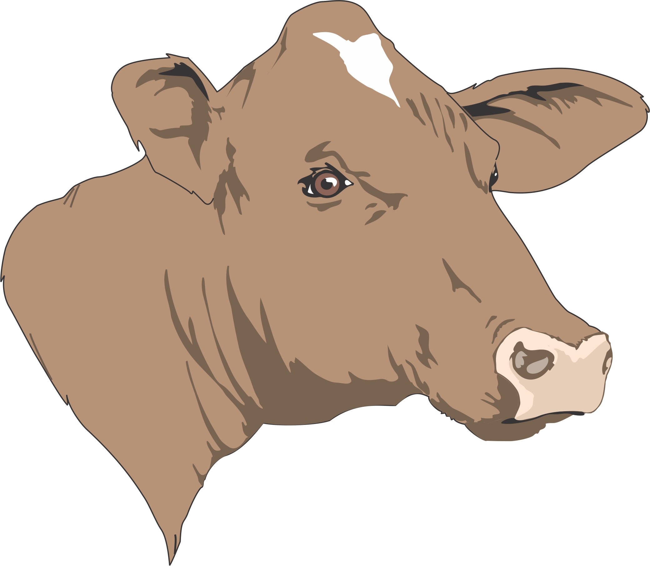 cow head clip art - photo #35