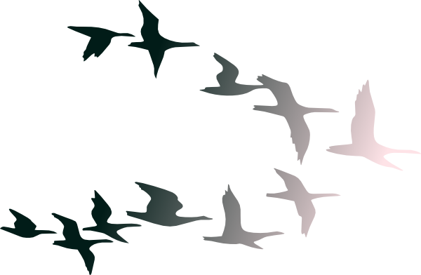 Bird Flying Clipart - Free Clipart Images
