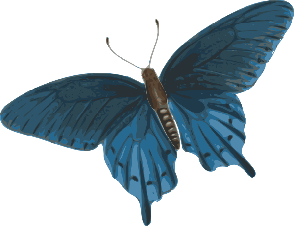 free animated butterfly clipart - photo #47