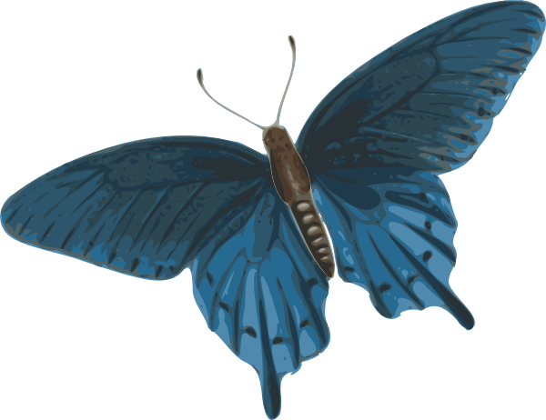 Animated Butterfly Clip Art